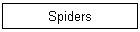 Spiders