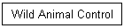 Wild Animal Control