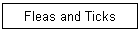 Fleas and Ticks
