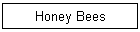 Honey Bees