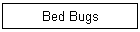 Bed Bugs
