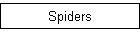 Spiders