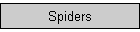 Spiders