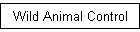 Wild Animal Control