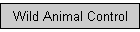 Wild Animal Control