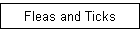 Fleas and Ticks