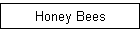 Honey Bees