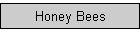 Honey Bees