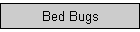 Bed Bugs